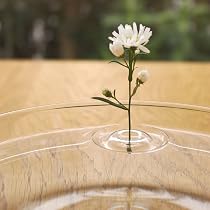 Amazon.co.jp: ガラスの剣山 小 花留め 花止め 日本製 伊藤泰三作 SUN