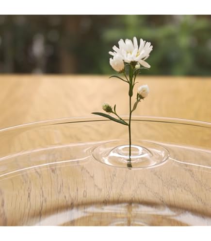 Amazon.co.jp: 東京堂(Tokyodo) クレイ ペットボトルが水の