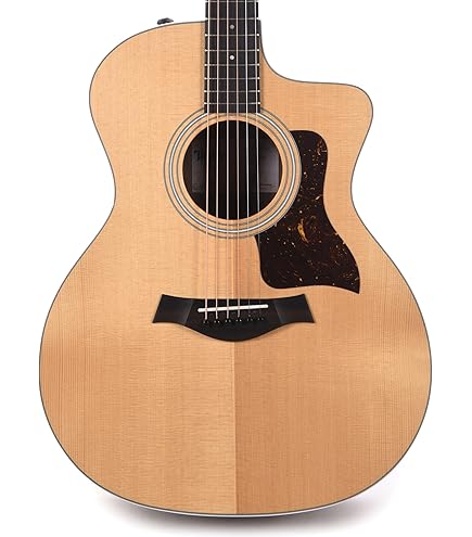 Amazon | Taylor / 114ce Natural with ES-2 Pickup System テイラー