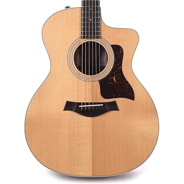 Amazon.co.jp: Taylor 86152 Deluxe Grand Auditorium Acoustic ギター