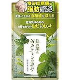 漢方セレクト 桑の葉＆茶カテキン 120粒 機能性表示食品