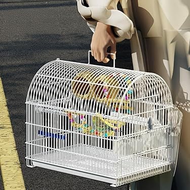 【小鳥〜中型鳥さん用】Vogel-Ruh ♫バードスタンド 小鳥〜中型鳥さん用】眺めのいい♬ゆったりバードスタンド 小鳥〜中型