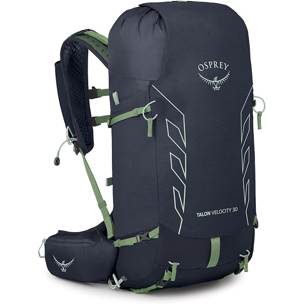 Amazon.co.jp: OSPREY(オスプレー) キャンバー30 OS52300 アルパイン