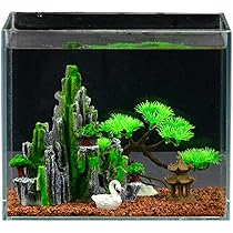 71KtLXjnWjL._AC_UL210_SR210,