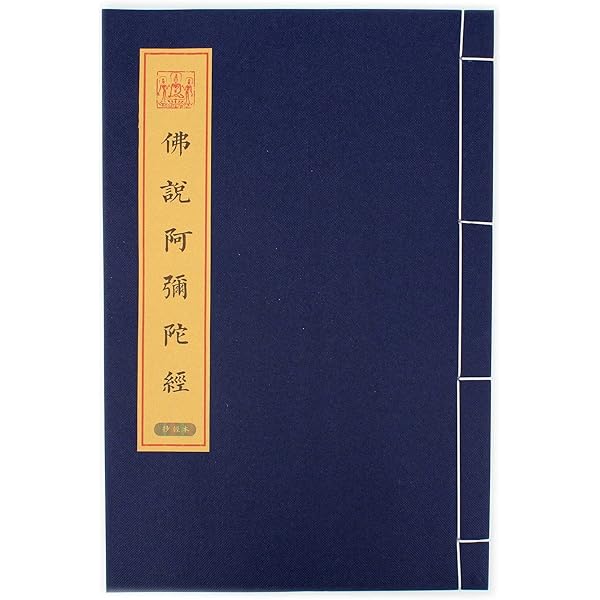 書いて味わう阿弥陀経 | 筆:山本 慧, 解説:真名子 晃征 |本 | 通販