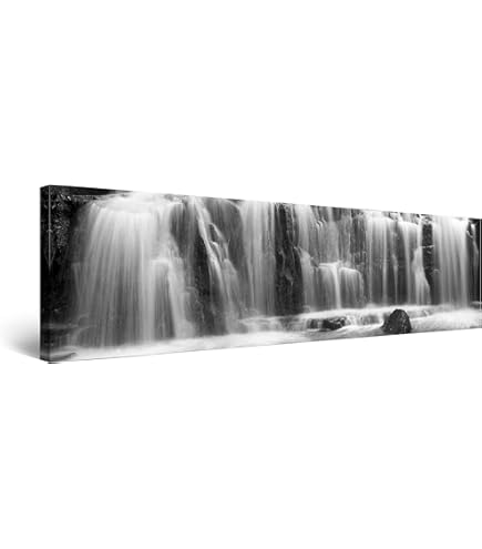 Amazon.co.jp: 馬に乗ったバルタサール・カルロス王子 ディエゴ