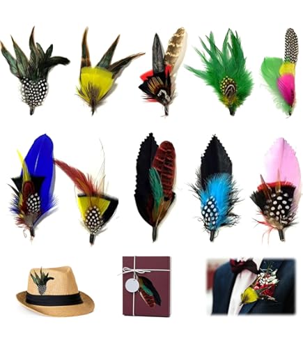 Amazon | 天然 羽根 ガチョウ ホロホロ鳥 羽 フェザー 鳥の羽根