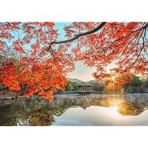 Amazon.co.jp: 絵画風 壁紙ポスター （はがせるシール式） 古都