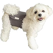 Amazon.co.jp: 【獣医師監修】 いぬのくらし マナーベルト 犬 男の子
