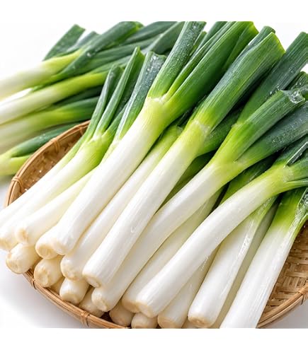 Amazon.co.jp: 【鳥取県産】 白ネギ 1束 送料別 : 食品・飲料・お酒