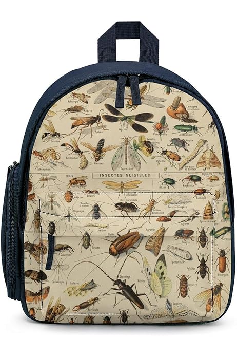 Amazon.co.jp: [Sharing Life] コーカサス オオカフ?ト（昆虫シリーズ  