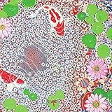 STRAIGHT AHEAD �`Best Of Razoku�`