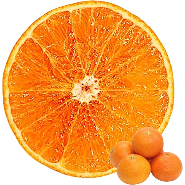 Amazon.co.jp: まどんな 訳あり 10kg 紅まどんな と同品種 愛媛 中島産