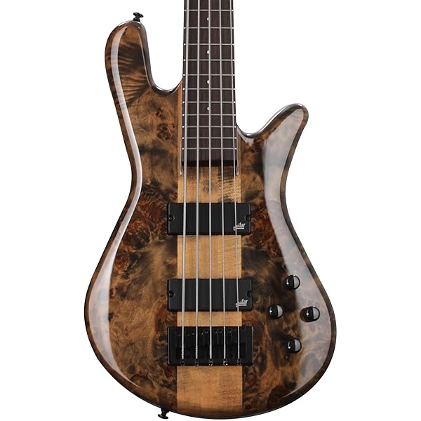 Amazon | Spector Euro5 LX Black & Blue Matte 5弦エレキベース 
