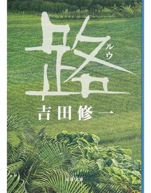 Amazon.co.jp: 路～台湾エクスプレス 特別編集版 DVD 全2枚 : DVD