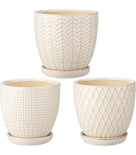 ジヨン GD ペンライト クレイドル 植木鉢 特典トレカ　セット Amazon.co.jp: ジヨン GD ペンライト クレイドル 植木鉢 特典