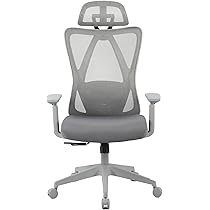 Flexispot C5 / デスクチェア / オフィスチェア オフィスチェア・C5 | FlexiSpot 公式ストア