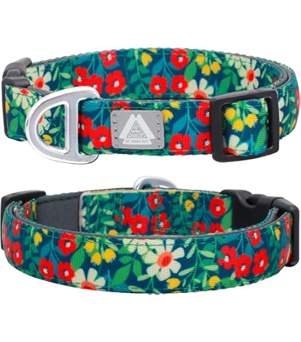 楽天市場】犬（ブランドコーチ）（バッグ｜バッグ・小物・ブランド雑貨