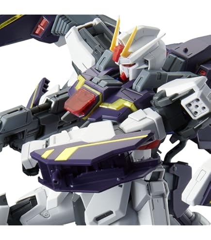 Amazon.co.jp: MS IN ACTION !! グフ MS-07B 大河原邦男 イラストVer