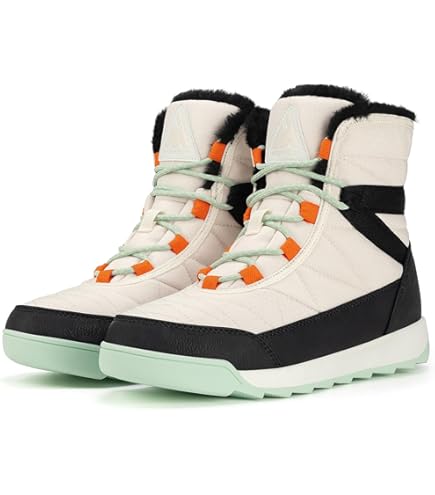 Amazon.co.jp: [ノースフェイス] メンズ レディース シューズ