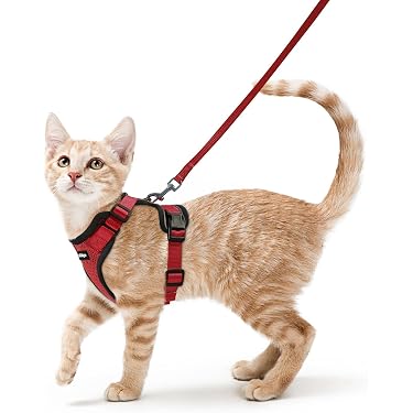 Amazon.co.jp 人気ギフトランキング: 猫用首輪・リード で、ギフトの