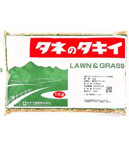 Amazon.co.jp: 極美 土田 制所 ハイブリッドアガベ 笹の雪