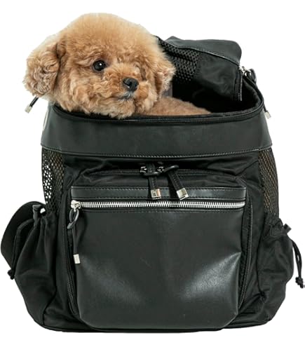 Amazon.co.jp: ライフライク 2WAY バックパックキャリー 63R002