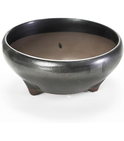 Amazon | 【盆栽鉢】 時代鉢 松泉焼 山秋造 紫泥角入長方（左右36.5cm