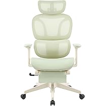 ⭐️新品⭐️FLEXISPOT オフィスチェア デスクチェア C7 人間工学 Amazon.co.jp: FLEXISPOT オフィスチェア デスクチェア C7 人間