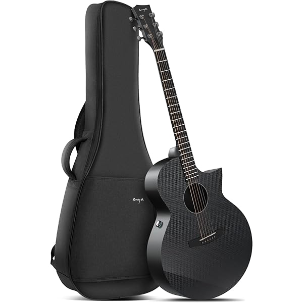 Amazon.co.jp: TAKAMINE PTU121C FCB エレクトリックアコースティック