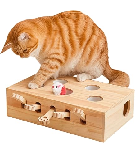 Amazon | キャティーマン (CattyMan) じゃれ猫 電動めちゃくちゃ遊び