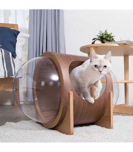 Amazon | Jingshihaisu 宇宙船 猫ハウス 木製 透明 クリア ドーム状