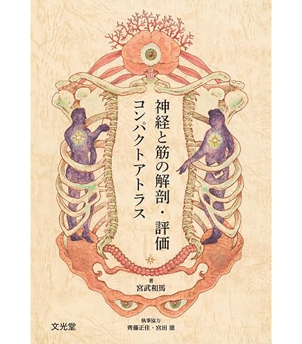 Amazon | TOEI LIGHT(トーエイライト) ジャンプメーターMD 日本製 体力