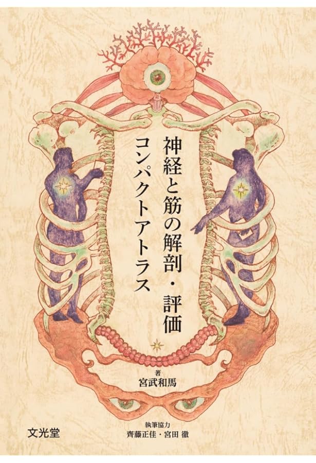 Amazon.co.jp: 臨床整形超音波学 : 笹原 潤, 宮武 和馬: 本