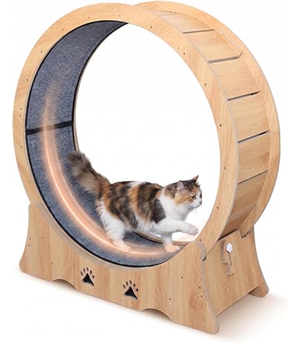 Amazon | キャットホイール 猫 回し車 ロック装置内蔵 静音低ノイズ 猫
