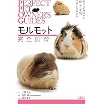 71LTVDlJv3L._AC_UL210_SR210,