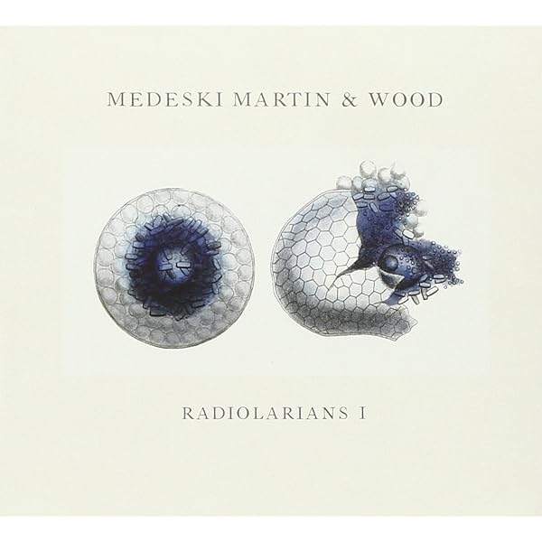 Amazon.co.jp: Combustication: ミュージック