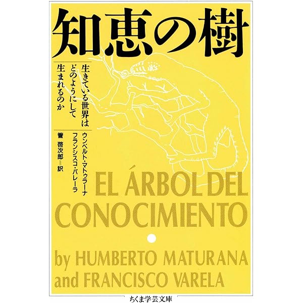 Amazon.co.jp: 精神指導の規則 (岩波文庫) 電子書籍: デカルト