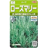 サカタのタネ 実咲ハーブ8088 ローズマリー ハーブ 00928088