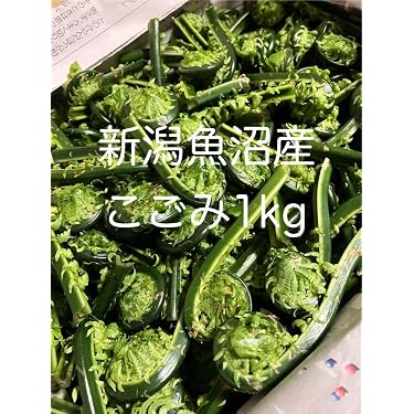 Amazon.co.jp 売れ筋ランキング: こごみ の中で最も人気のある商品です