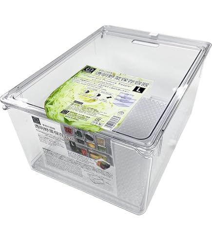 Amazon｜e angle フレッシュキーパー シルバー ANG-FK-A9-S｜保存容器