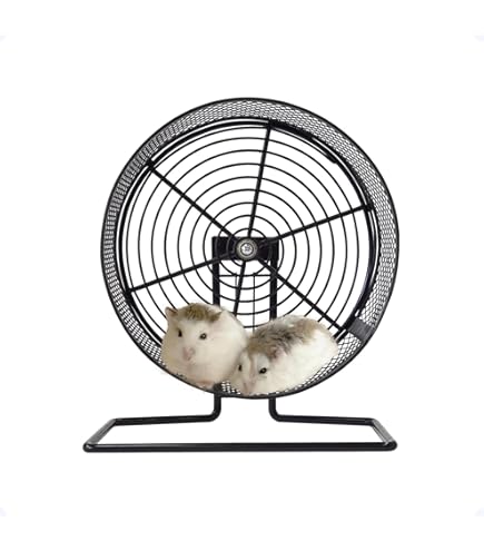 Amazon.co.jp: eモンズ 小動物用ホイール 【 メタルフレームレス