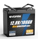 Amazon.co.jp: 12.8V 100Ah リン酸鉄リチウムイオンバッテリー 蓄電池