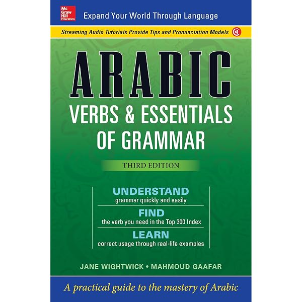 Amazon | 501 Arabic Verbs (Barron's 501 Verbs) | Scheindlin Ph.D