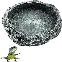 71LbR792NpL._AC_UL210_SR210,