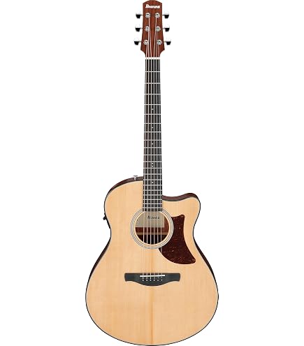 Amazon | Ibanez AC391RCE BKH エレアコギター トップ単板