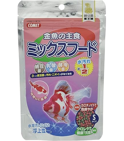 金魚和金とコメット　セット チャーム（charm） （国産金魚）おすすめ金魚セット（コメット＋朱文金