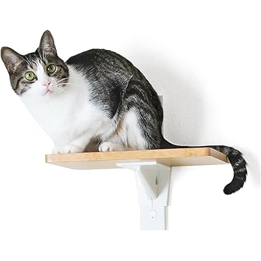 Amazon.co.jp 売れ筋ランキング: 猫の階段・ステップ の中で最も人気の