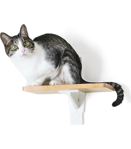 Amazon | [SUMIKA New 突っ張り 型 木製 キャットタワー 専用 10cm
