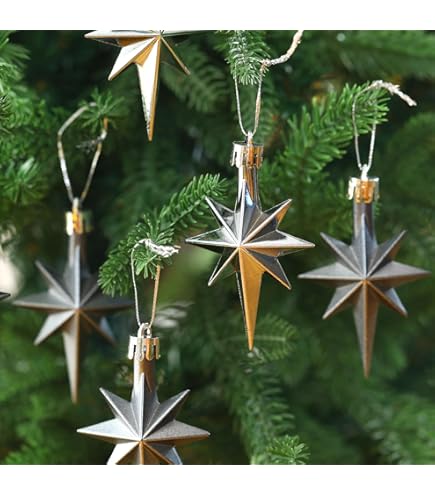 Amazon | [アルビンプライスラー] Albin Preissler クリスマス